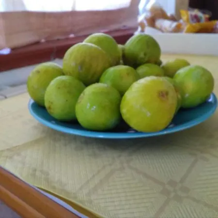 Il Faro Oda ve Kahvaltı